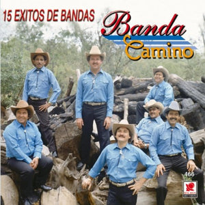 Camino Banda (CD 15 Exitos De Banda) BCDS-466