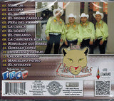 Pumas De Huetamo, Michoacan (CD 15 Corridos Que Rugen) ARCD-762