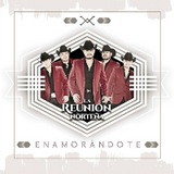 Reunion Nortena (CD Enamorandote) Fonovisa-602557745481