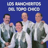 Rancheritos del Topo Chico (CD Cuando Dos Almas) CDFM-2056