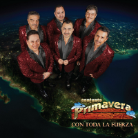 Primavera (CD Con Toda La Fuerza) Fonovisa-602567002000 OB