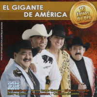 Bronco El Gigante de America (CD 16 Exitos de Oro) 600753392058
