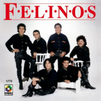 Felinos (CD No Que No) CDP-1770