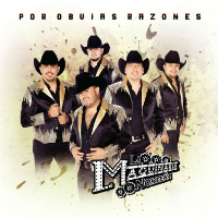 Maquinaria Nortena (CD Por Obvias Razones) Fonovisa-602557975291 OB