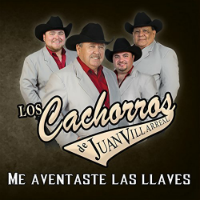Cachorros de Juan Villarreal (CD Me Aventaste Las Llaves) Serca-889853895922