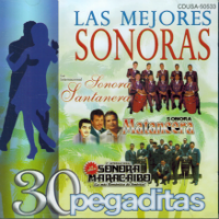 Mejores Sonoras (CD 30 Pegaditas) CDUSA-50533