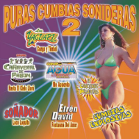 Pura Cumbia Sonidera 2 (CD Varios Grupos) MRK-87627