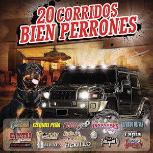 20 Corridos Bien Perrones (CD Varios Artistas Fonovisa-528105) N/AZ