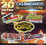 Varios Artistas (CD 20 Exitos Calentanos Pa Wuaches Cochos) Power-900728