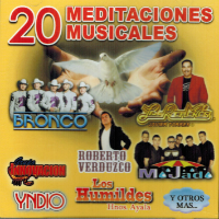 20 Meditaciones Musicales (CD Varios Artistas Religiosos)Power-900685