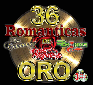 Varios 36 Romanticas De oro 3CDs Power-900528