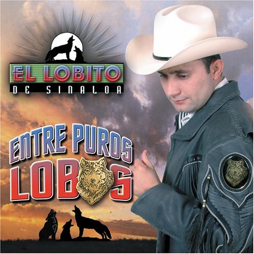 Lobito de Sinaloa (CD ENTRE PUROS LOBOS) FONO-51879 N/AZ