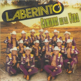 Laberinto Banda (CD Caminos De La Vida) Sony-888430643321