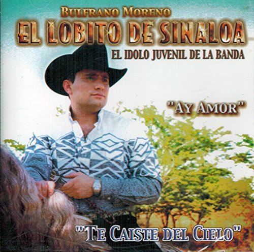 Lobito De Sinaloa (CD Te Caiste Del Cielo) Vrcd-1017