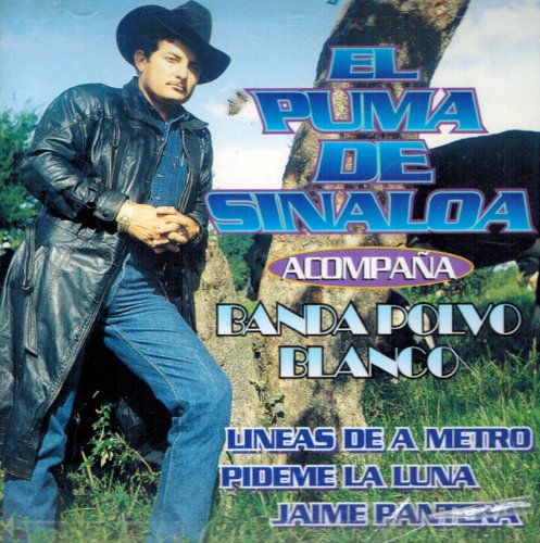 Puma De Sinaloa (CDLineas De A Metro) ZAUD-304