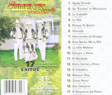 Canelos De Durango (CD 17 Exitos) CAN-332 CH