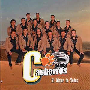 Cachorros (CD El Mejor de Todos) 897815000475 "USADO"