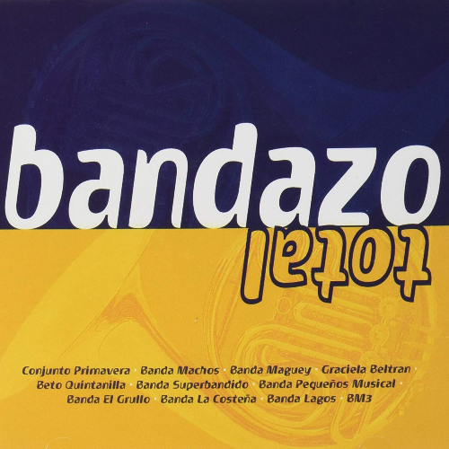 Varios Artistas (Bandazo Total, CD) 809274667922 n/az