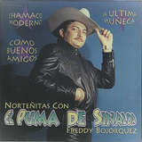 Puma de Sinaloa (CD Nortenitas Con...) ZRCD-309