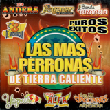 Mas Perronas de Tierra Caliente (CD Varios Artistas) JRCD-070