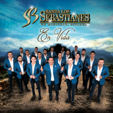 Sebastianes (CD En Vida) 602567233541