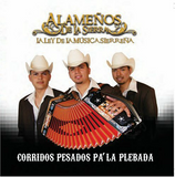 Alamenos de la Sierra (CD Corridos Pa'La Plebada) 823362237828 n/az