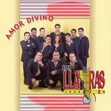 Llayras (CD Amor Divino) Disa-20281