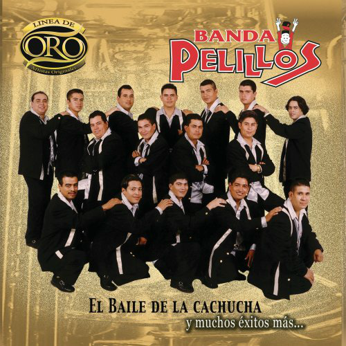 Pelillos Banda (CD Baile De La Cachuca Y Muchos Exitos Mas) 808835285520
