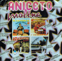 Aniceto Molina (CD 15 Exitos Volumen 1) DCY-011