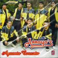 Arroyo's de Jungapeo Michoacan (CD Aguanta Corazon) CDAR-3080 OB