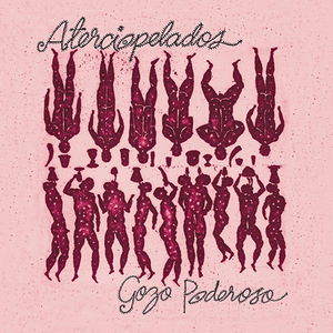 Aterciopleados (CD Gozo Poderoso) BMG-80899 N/AZ