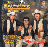 Autenticos De Hidalgo (CD 20 Grandes Exitos Huapangos) CDAN-081