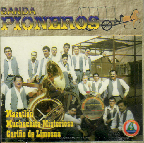 Pioneros (CD Golpeando La Pared) Vmcd-002