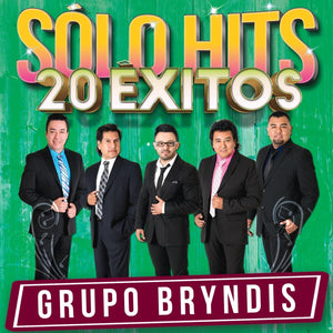 Bryndis (CD 20 Exitos Solo Hits Disa-165982)