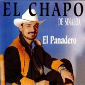 Chapo De Sinaloa (CD El Parrandero) DL-919