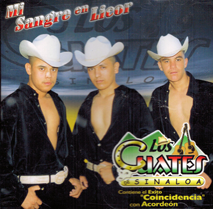 Cuates De Sinaloa (CD Mi Sangre En Licor) Infinity-5017 OB
