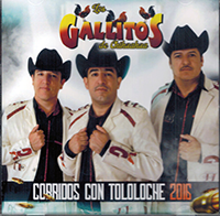 Gallitos De Chihuahua (CD Corridos Con Tololoche) MM-3568