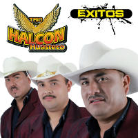 Trio Halcon Huasteco (CD Exitos) MM-3537