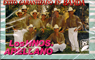 Arellano Hermanos (CASS Exito Garantizado En Banda) KDCass-2086