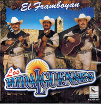 Hidalguenses (CD El Framboyan) CDJGI-037