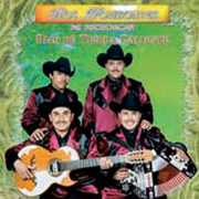 Horizontes De De Michoacan (CD Hijo De Tierra Caliente) AR-272