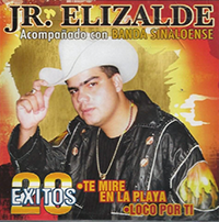 Jr Elizalde (CD 20 Exitos Con Banda Sinaloense) CAN-832