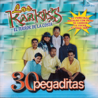 Karkik's (CD 30 Pegaditas) Tanio-513