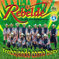 Rebelde De San Juan Del Reparo Guerrero (CD Trabajando Como Buey) Cdtc-21071 ob