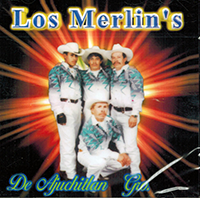 Merlins De Ajuchitlan Guerrero  (CD Virgen De Guadalupe)