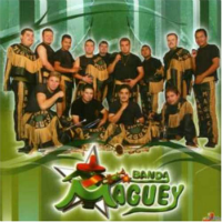 Maguey Banda (CD Como Mexico No Hay Dos) TSRCD-826591061523