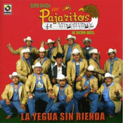 Pajaritos De Tacupa Michoacan (CD La Yegua Sin Rienda) CDS-3287 OB
