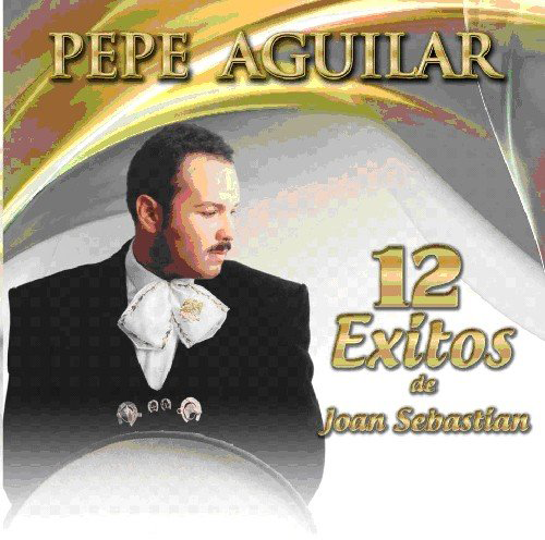 Pepe Aguilar (CD 12 Exitos De Joan Sebastian) Musart-4639
