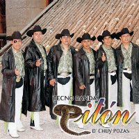 Piton (CD No Quiero Que Vuelvas) ARCD-408