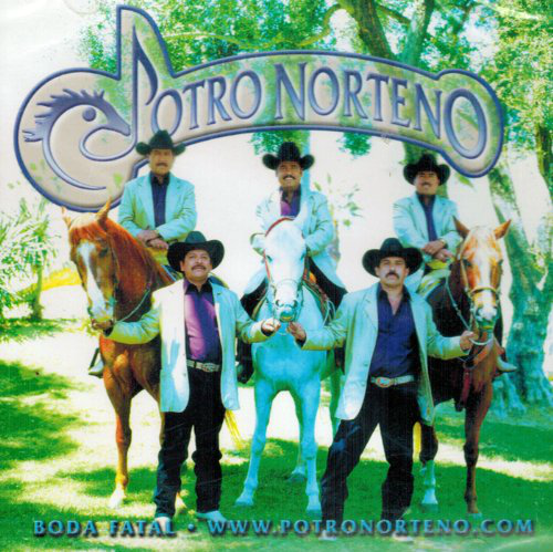 Potro Norteno (CD Boda Fatal) Joey-3652
